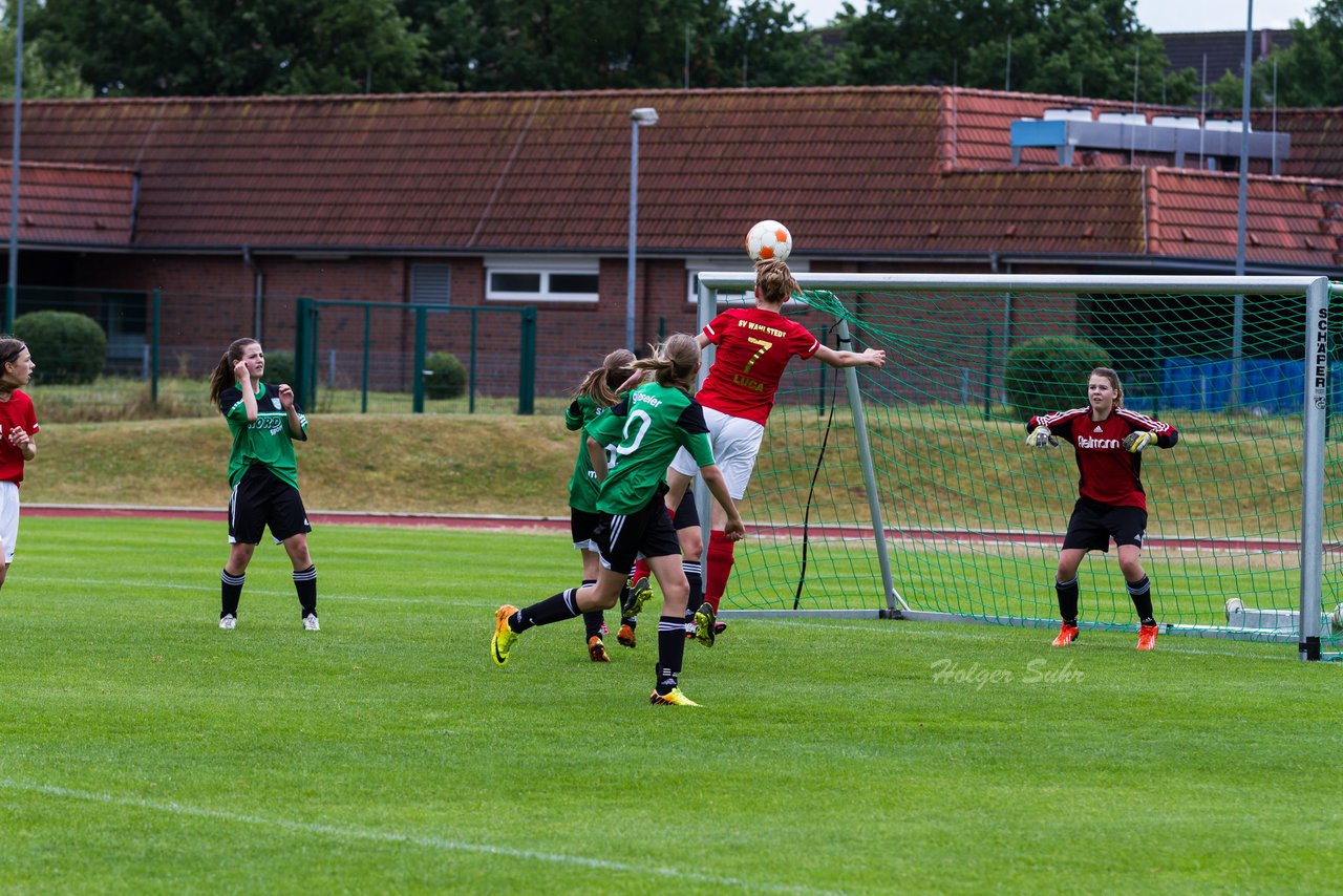 Bild 104 - C-Juniorinnen Landesmeister Finale SV Wahlstedt - TuRa Meldorf : Ergebnis: 1:4